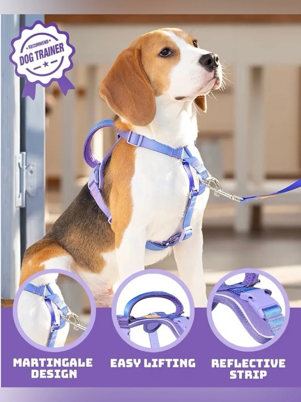 DF Pet Freedom No Pull Martingale Dog Harness
